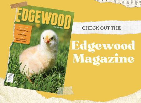 Edgewood Magazine
