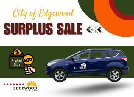 Feb 2025 Surplus (450 x 328 px) (1)