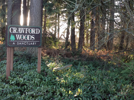Crawfords Woods